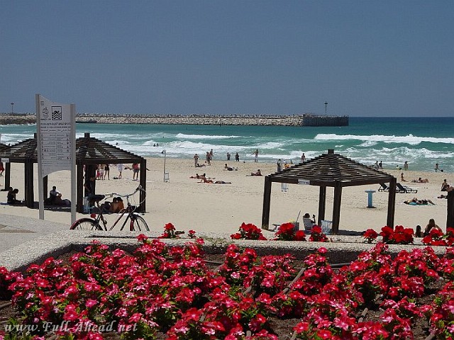 ashdod19.jpg